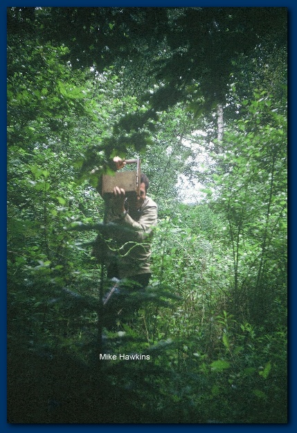 405x599 pixels (160K)